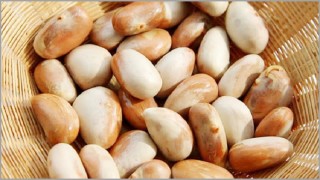 জাতীয় ফল কাঁঠালের বিচিও পুষ্টিগুণে সমৃদ্ধ...